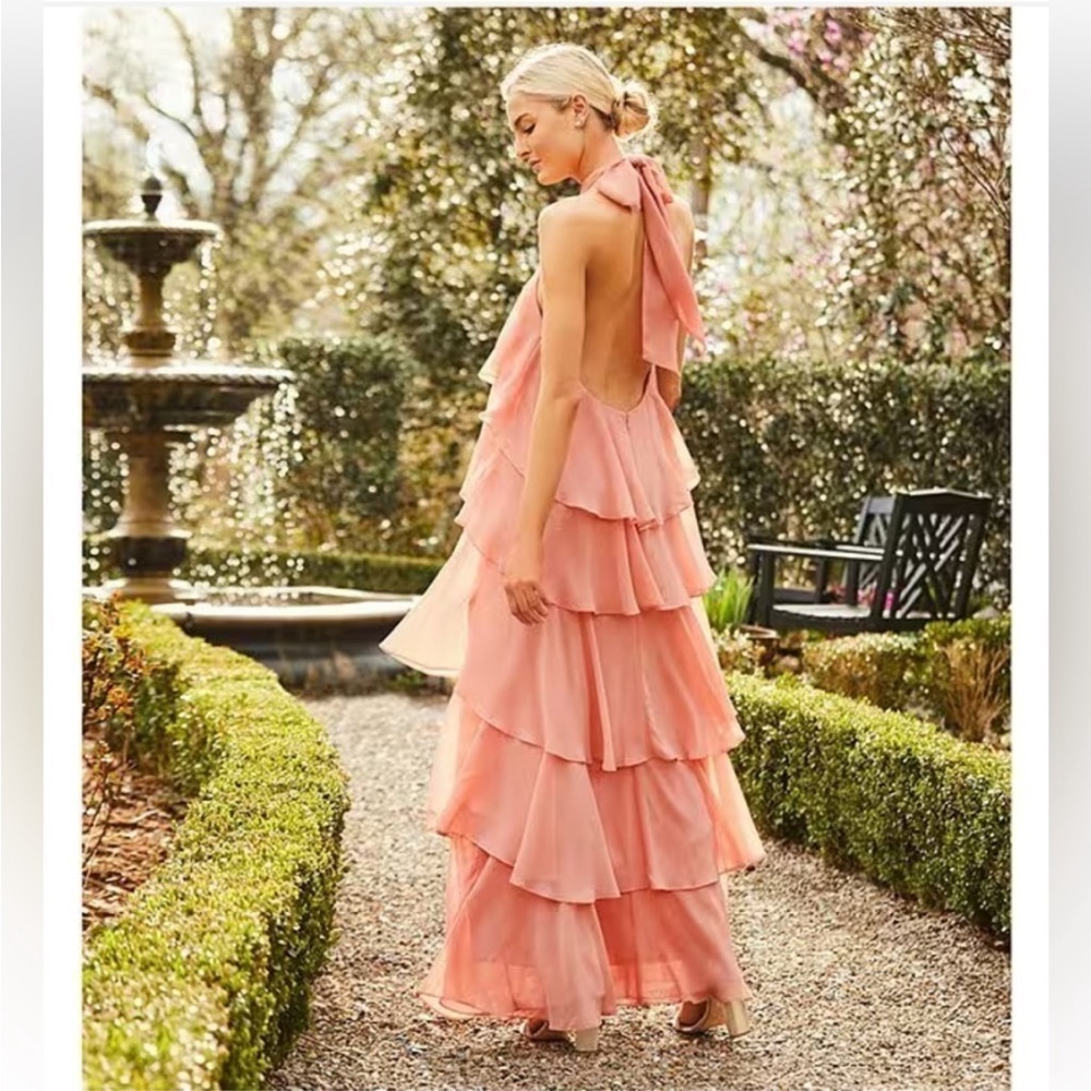 NWT, Antonio Melani,Mariela, Soft Chiffon Tiers Open-Back,Halter Neckline,Size 6 - Picture 4 of 16